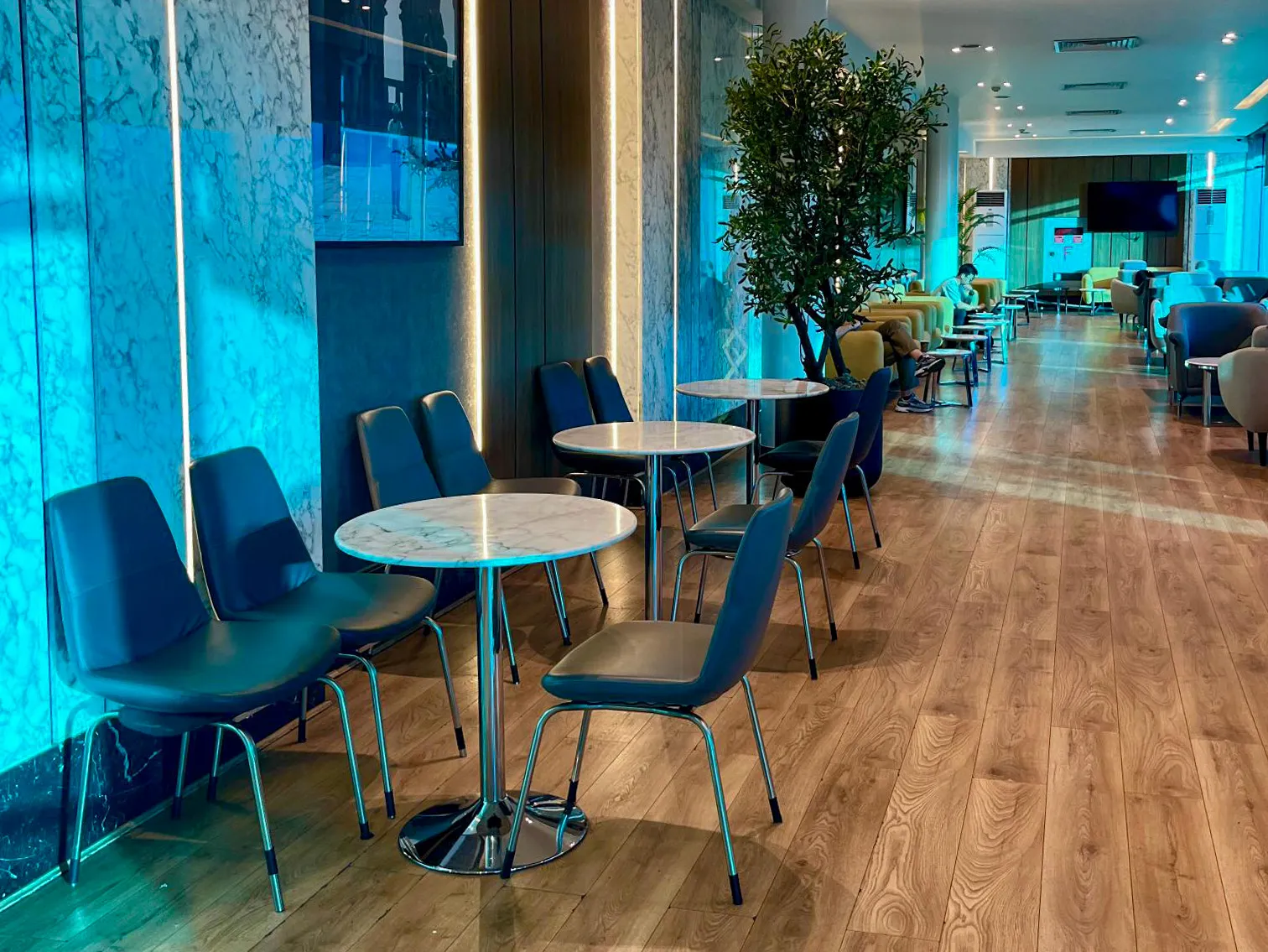 Ahlein Premium Lounge, Каир: фото 3 из 3