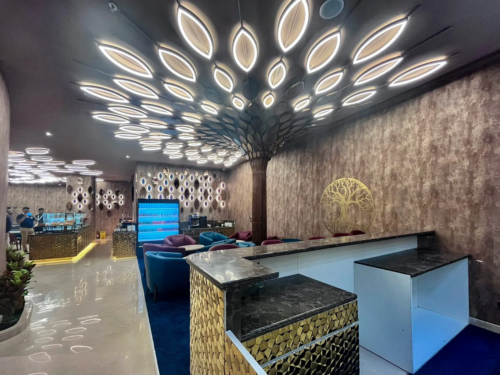 Adani Lounge, Аэропорт имени Чоудхари Чарана Сингха: фото 1 из 3