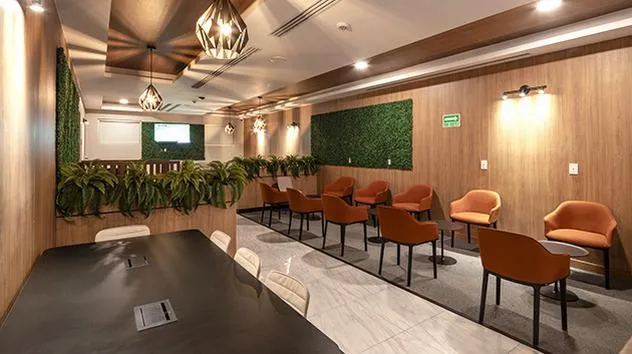 Oma Premium Lounge, Международный аэропорт генерала Гваделупе Виктория (Дуранго): фото 3 из 3