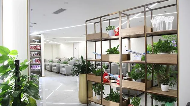 China Southern Gold/Silver/Elite Plus Lounge, Гуйян Лундунбао: фото 2 из 3