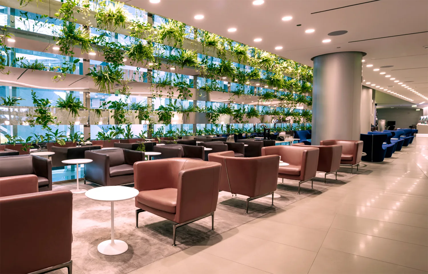 Al Maha Lounge - South Node, Хамад: фото 1 из 3