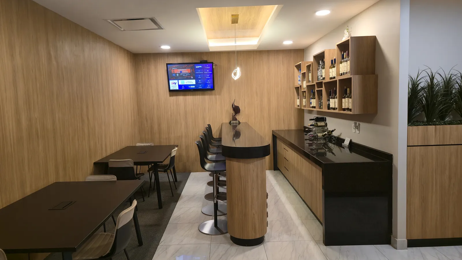 Oma Premium Lounge, Международный аэропорт имени генерала Рафаэля Буелны (Масатлан): фото 2 из 3