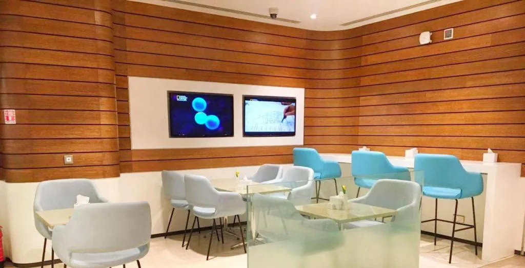 Wellcome Lounge, Аэропорт Медина имени принца Мохаммеда бин Абдул-Азиза: фото 2 из 3