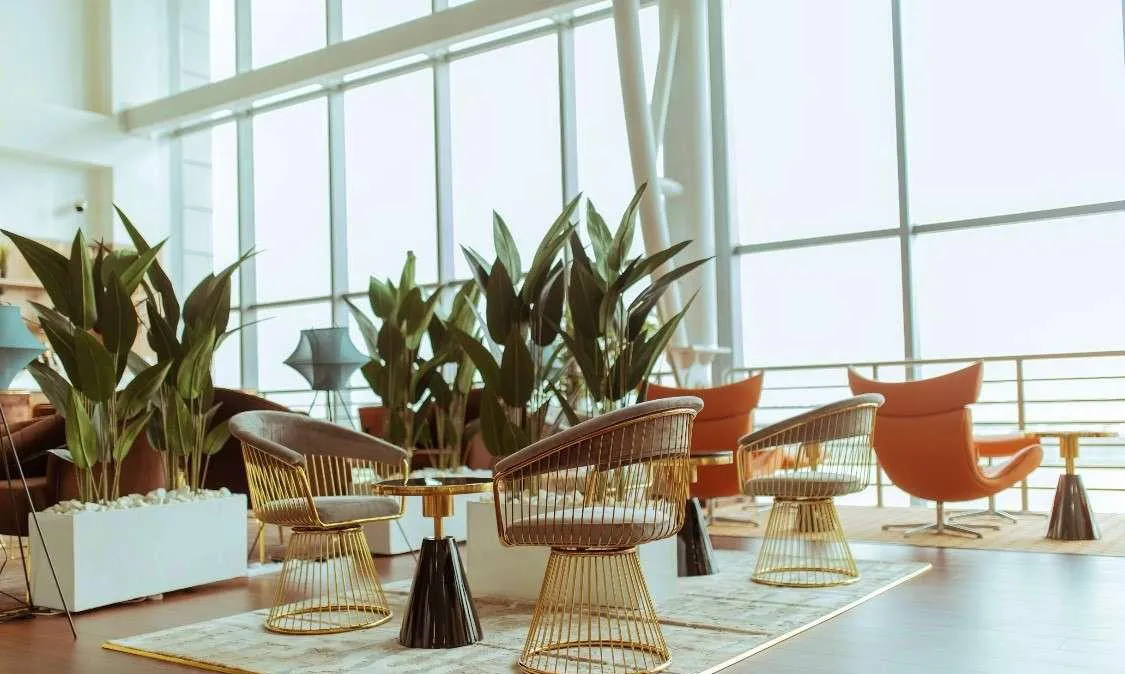 The Atelier Lounge Limited, Аэропорт имени Мурталы Мухаммеда: фото 2 из 3
