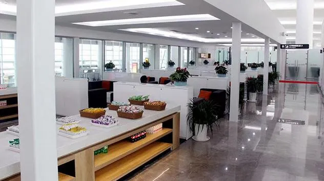 Deren VIP lounge (T3 domestic), Наньтун Синдун: фото 2 из 3