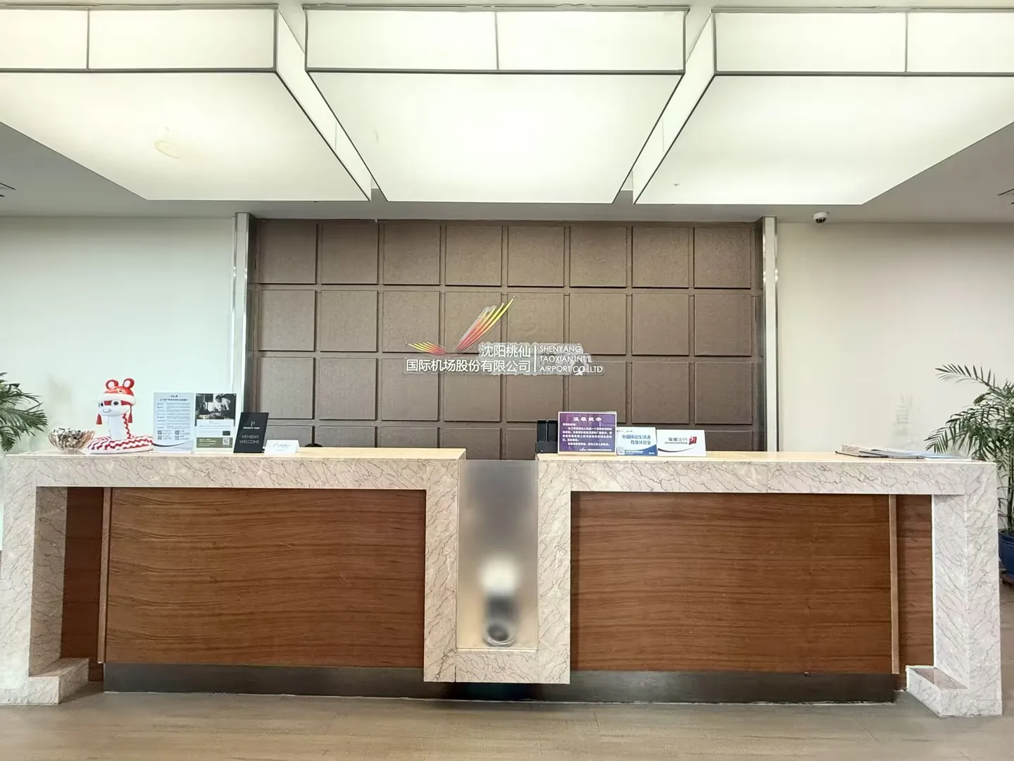 Airport Easy Boarding Lounge, Шэньян Таосянь: фото 3 из 3