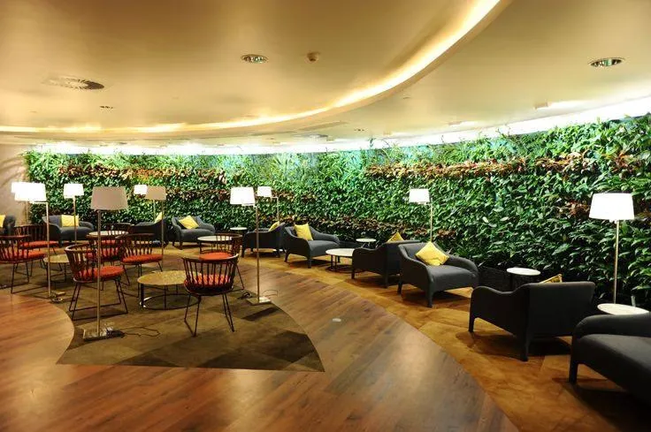 Amedee Maingard Lounge, Аэропорт имени сэра Сивусагура Рамгулама: фото 1 из 2