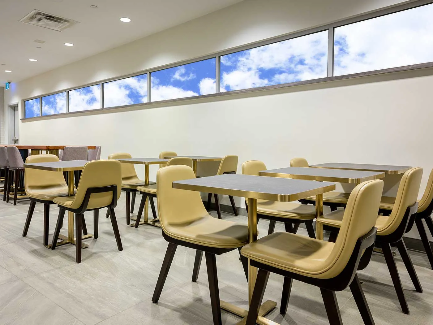 Plaza Premium Lounge (US Transborder), Аэропорт Торонто имени Лестера Б. Пирсона: фото 1 из 2