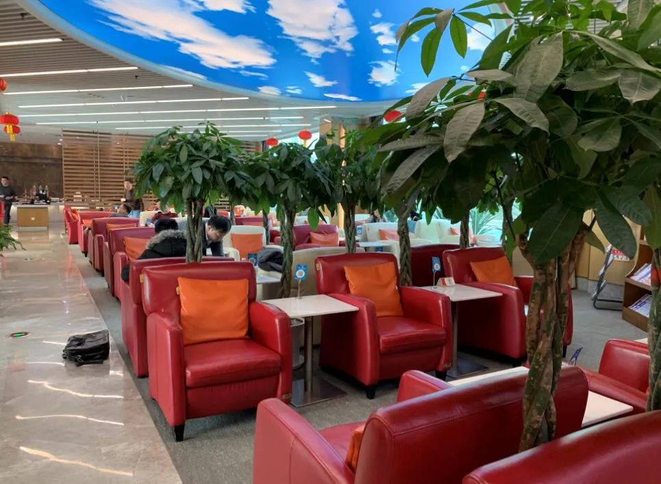 China Southern Lounge T3 Dom, Ухань-Тяньхэ: фото 2 из 2